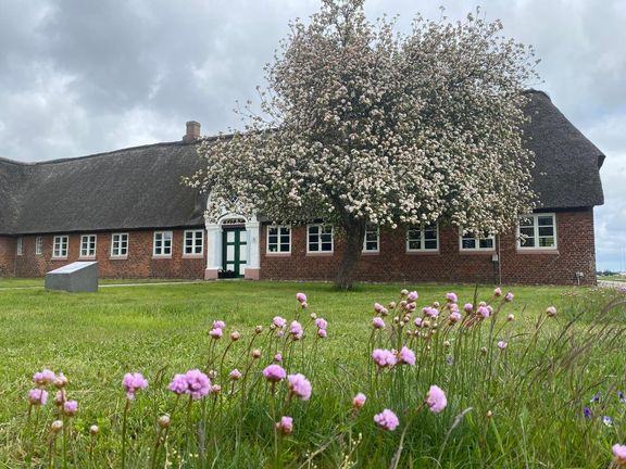 Rømø får et nyt naturperle