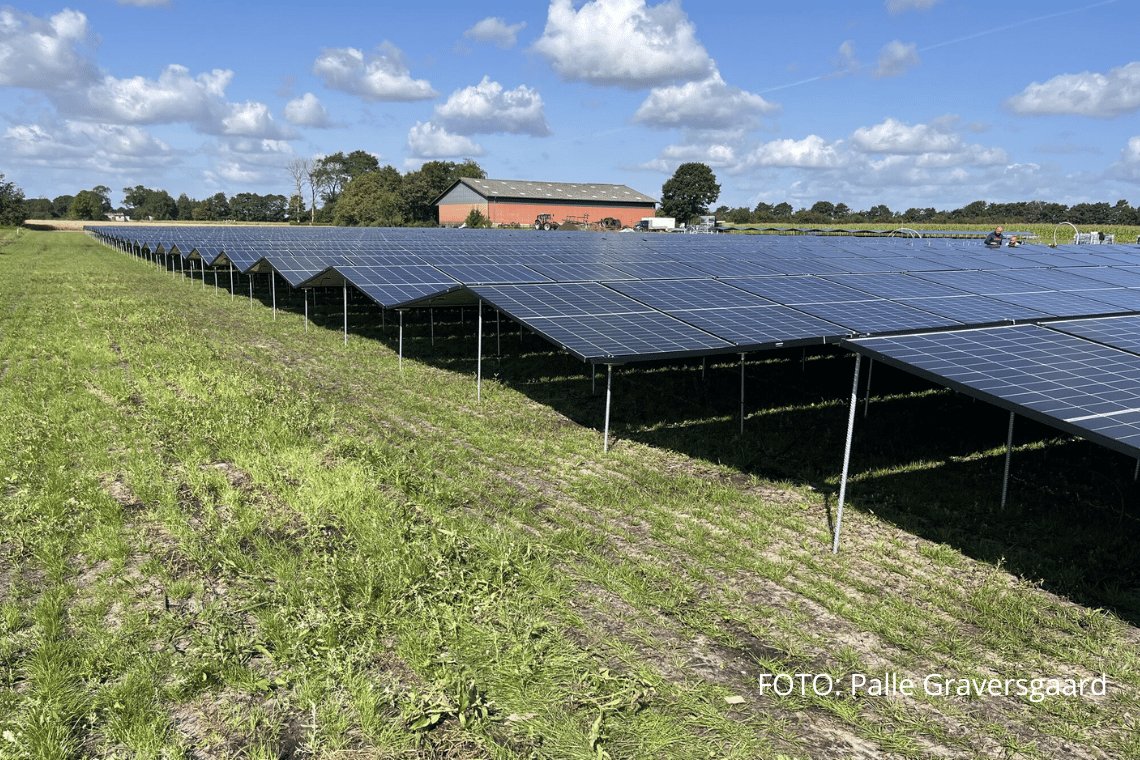 Solcelleprojekt i Toftlund klar til indvielse – åbent hus tirsdag