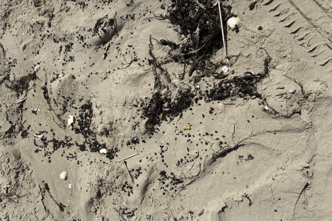 Olieforurening rammer Rømøs vestkyst – strandene er afspærret