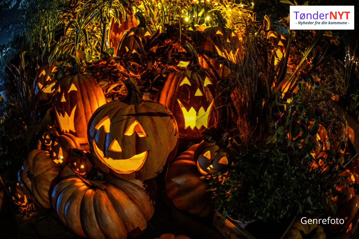 Halvdelen af danskerne fejrer halloween – men vil have billigere græskar